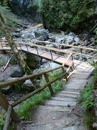Brücke über die Schlucht am Lainbachfall
